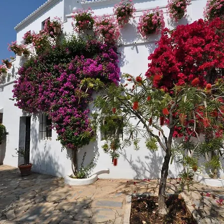 All About Lomas De Club Pueblo Сasa de vacaciones Marbella